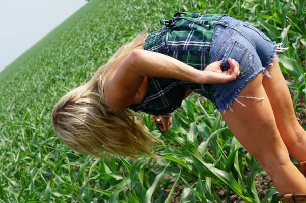 Madden - Checking Crops